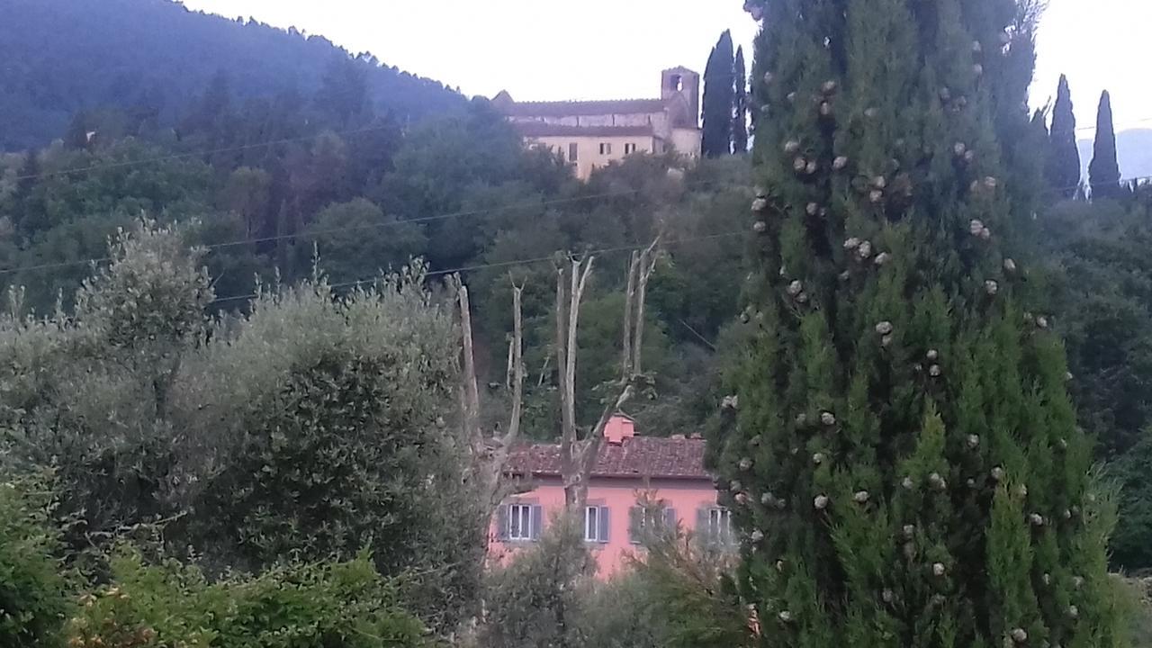Villa Agnolaccio Residenza D'Epoca Pistoia Dış mekan fotoğraf